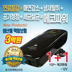 에코파워 12V